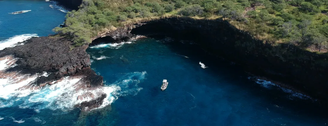 Hawaii whale watching