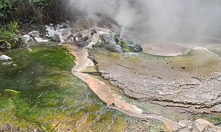 Rotorua to Waimangu Volcanic Valley Morning Shuttle