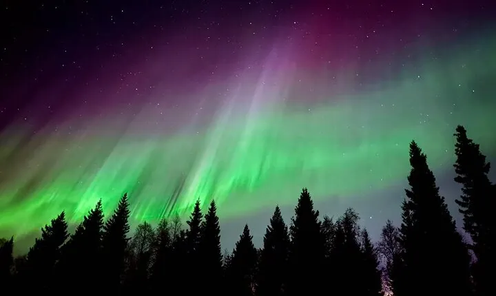 Aurora BBQ in the Private Place in Rovaniemi