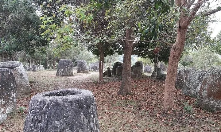 Plain of jars tour with local guide