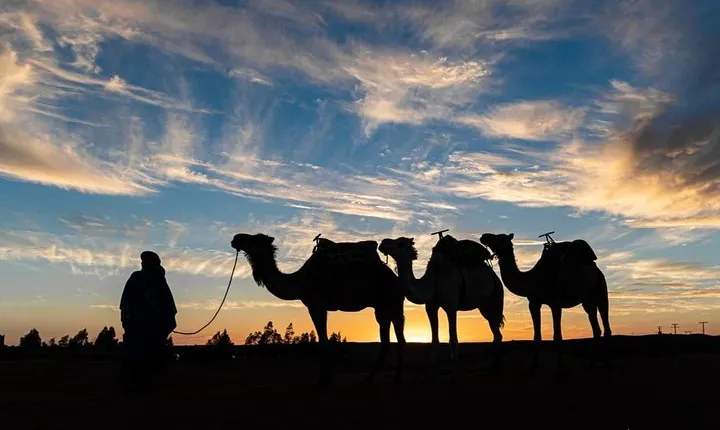 Agadir Camel Riding +Sunset and Dinner( barbecue)