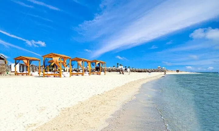 Marsa Alam Swimming with Dugong and Turtles in Abo Dabbab