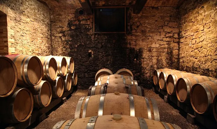 Tuscan Cooking Class and Wine Tasting from Rome