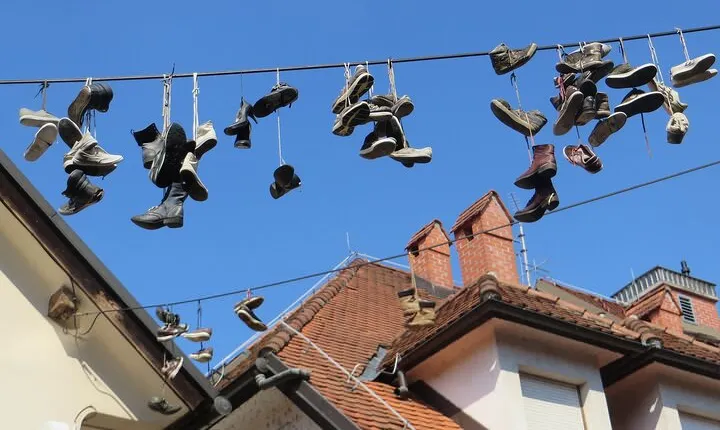 Explore Ljubljana’s Art and Culture with a Local