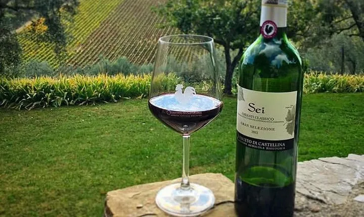 Siena and Chianti Wineries Excursion by Private Luxury Van from Florence