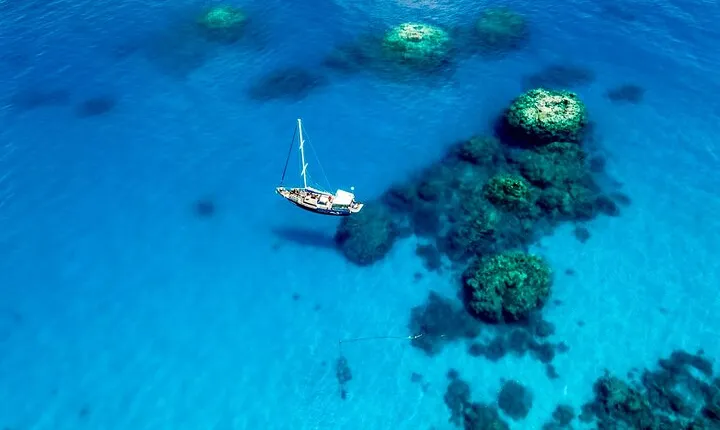 Coral Sea Dreaming: Overnight Dive, Snorkel & Sail from Cairns