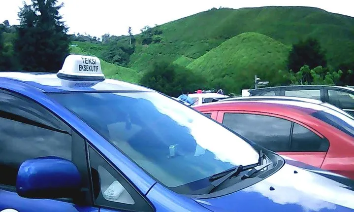 Cameron Highland Private Day Tour