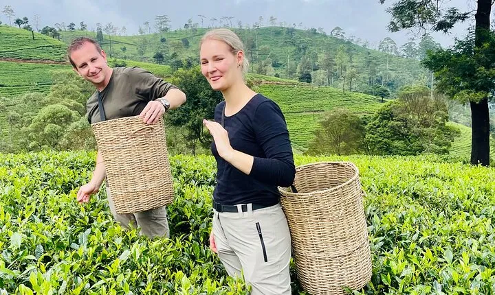 Nuwara Eliya Tea factory,plantation and Water Falls Tour