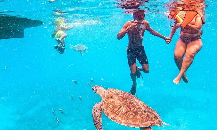 São Vicente: Snorkel Experience with Sea Turtle
