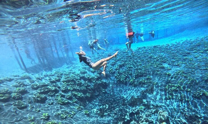 From Flowers Eco Tour to Blue Crater All Inclusive
