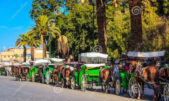 Marrakech Private Horse-Drawn Carriage Ride