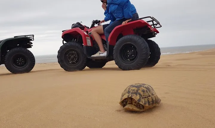 Essaouira: Pleasant Quad tour (free transfer)