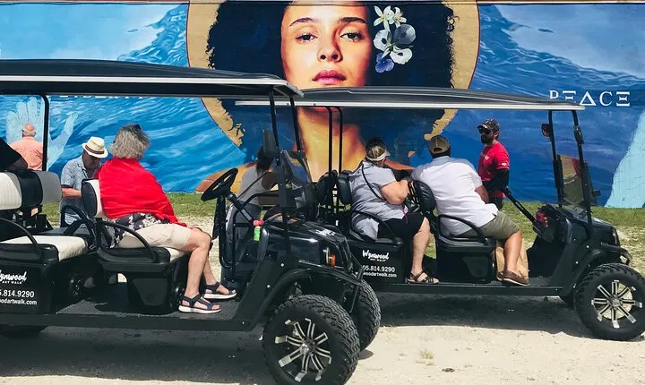 Small-Group Brewery Golf Cart Tour of Wynwood with a Local Guide