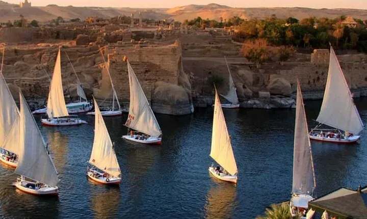 Aswan Felucca Ride and Botanical Gardens Tour