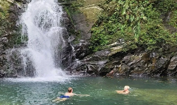 Exploring Bach Ma National Park Trekking Day Tour