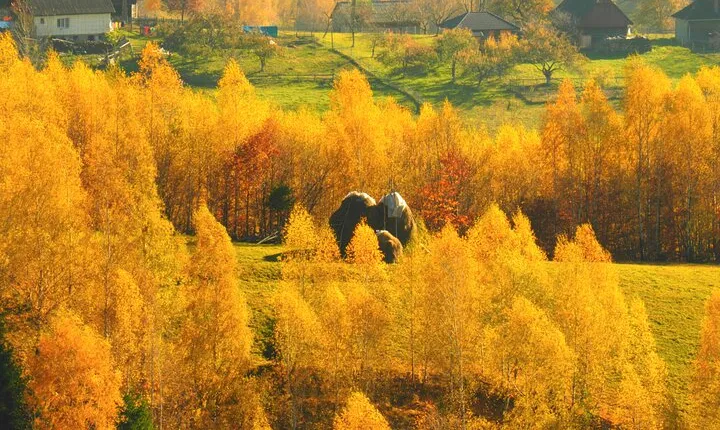 Small-Group Day Trip in Romanian Authentic Mountain Villages from Brasov