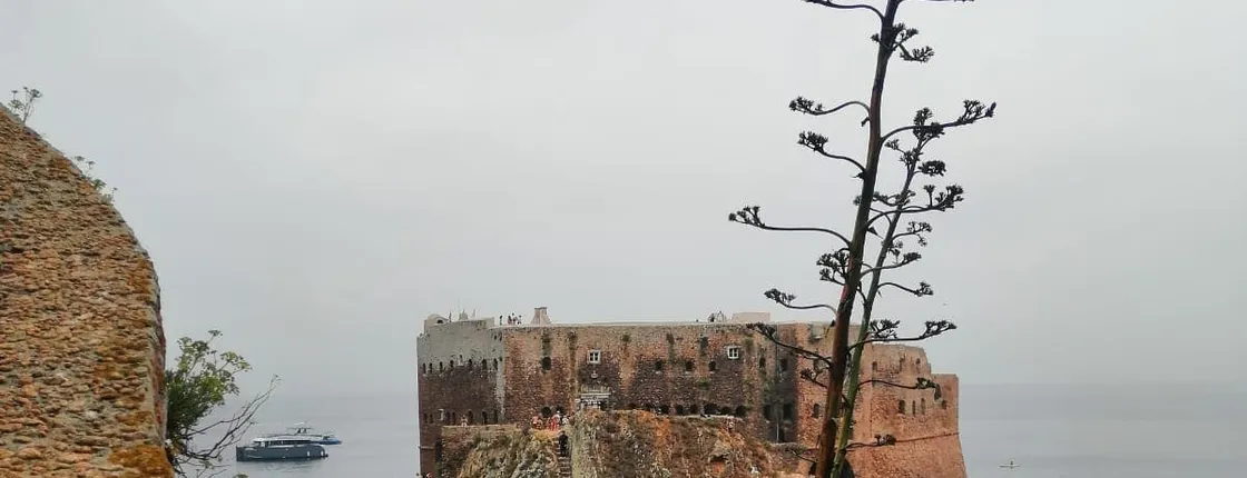 Berlenga island trip, glass-bottom boat cave tour and guided walk