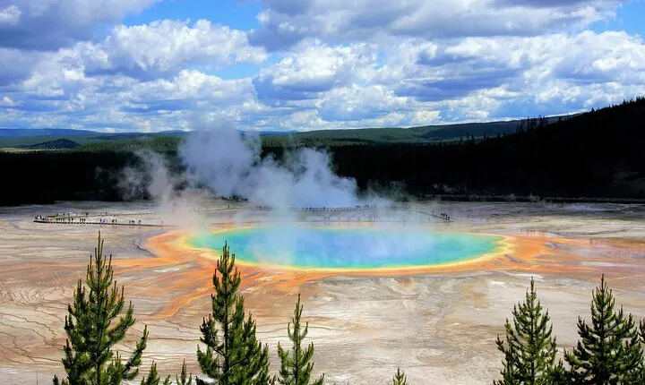 Yellowstone Full Day Private Tour