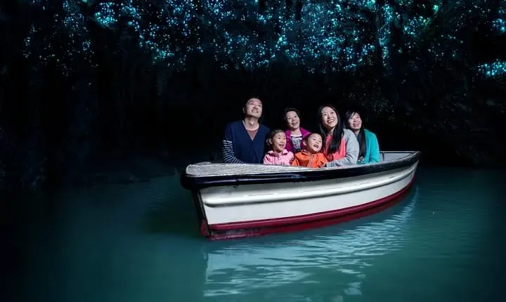Waitomo Glowworm Caves - Private Tour From Auckland