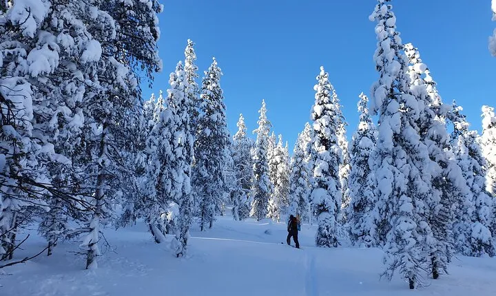 Guided Daytime Ski Adventure: Explore Private Trails by Rovaniemi