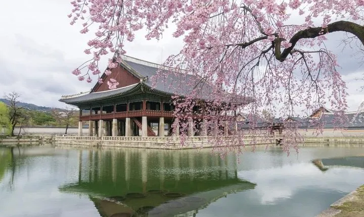 Seoul City Tour - Free Photo Service