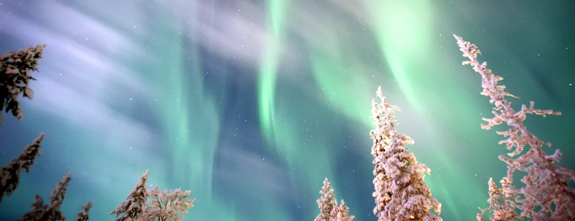 Aurora hunt by snowmobile from Saariselkä