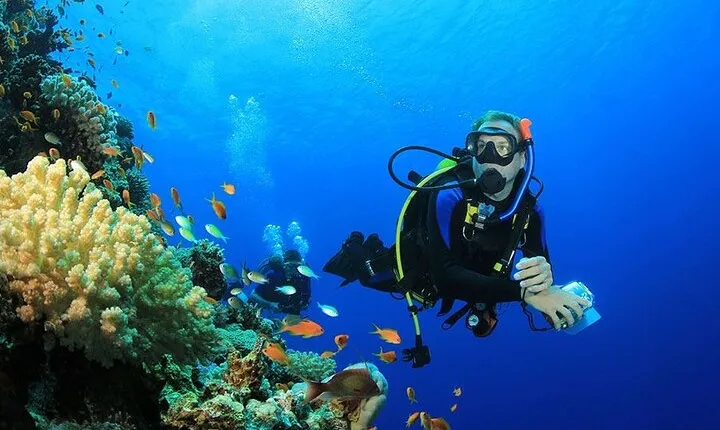 7-Hours Scuba Diving & Snorkeling With Lunch in Hurghada