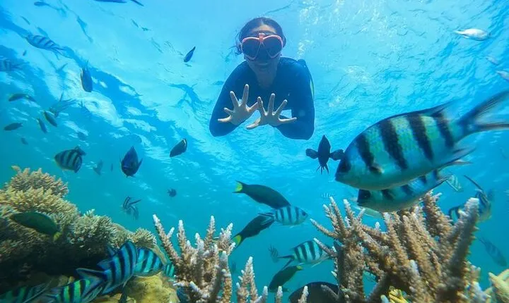 Bali Blue Lagoon Snorkeling Tour with Lunch, Private Transfer