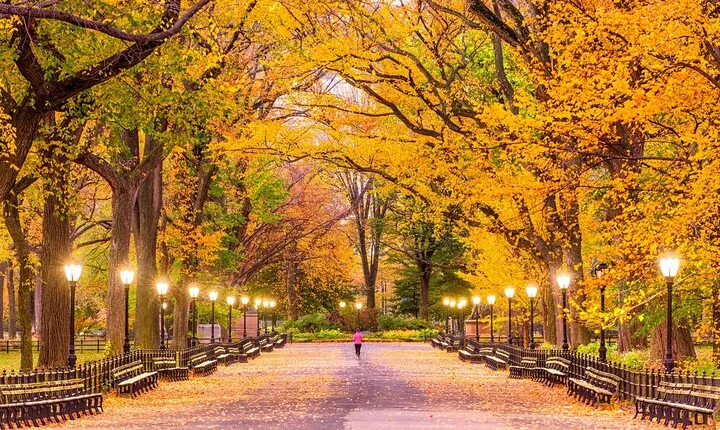 New York’s Iconic Central Park: A Self-Guided Audio Tour