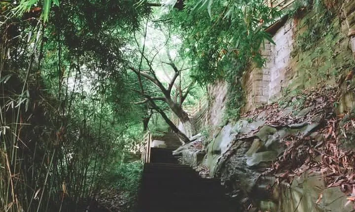 3-Hour Walking Tour of Chongqing Shancheng (Mountain City) Lane