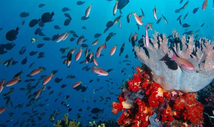 Private tour 4 days 3 nights Komodo on boat, waterfall and Rangko cave 