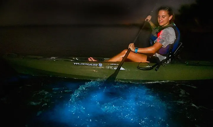 Bioluminescence Kayak Tour