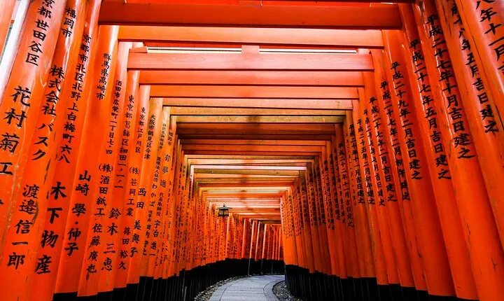 Kyoto Tour in Spanish: Fushimi inari Bamboo forest and Kinkakuji