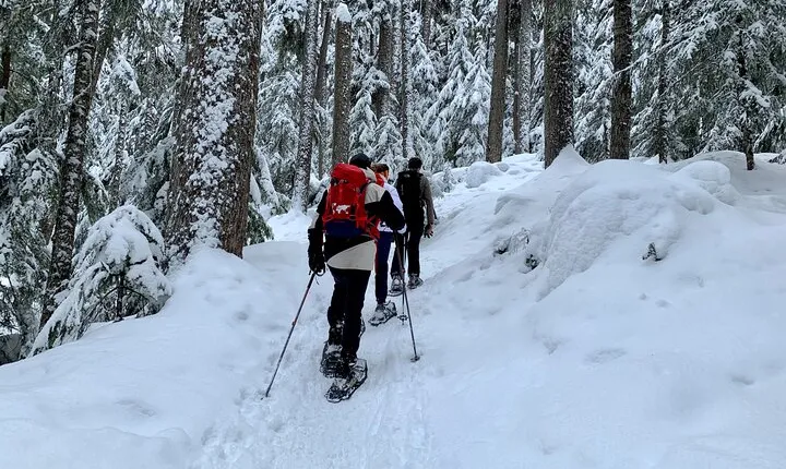 Whistler Lost Lake Snowshoeing and Village Tour