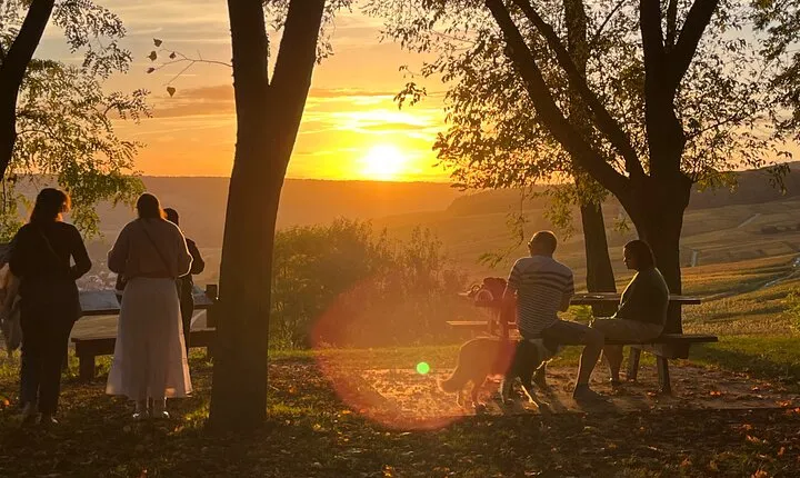 Tuscany & Pitigliano Day Tour from Rome with Wine Tasting & Lunch