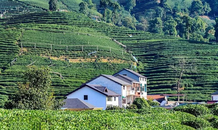 Flexible Hangzhou Private Tour from Shanghai by Bullet Train