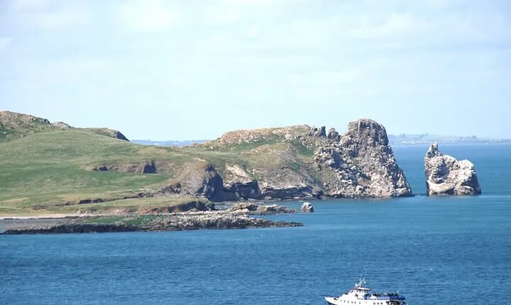 Howth - Howth Cliffs & Ireland's Eye 1 hour Tour