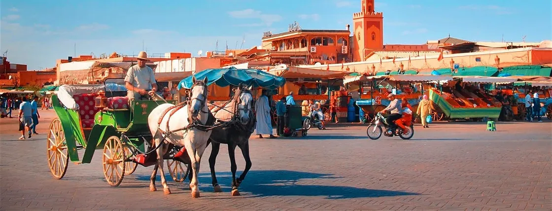 Marrakech private full-day city tour with a driver