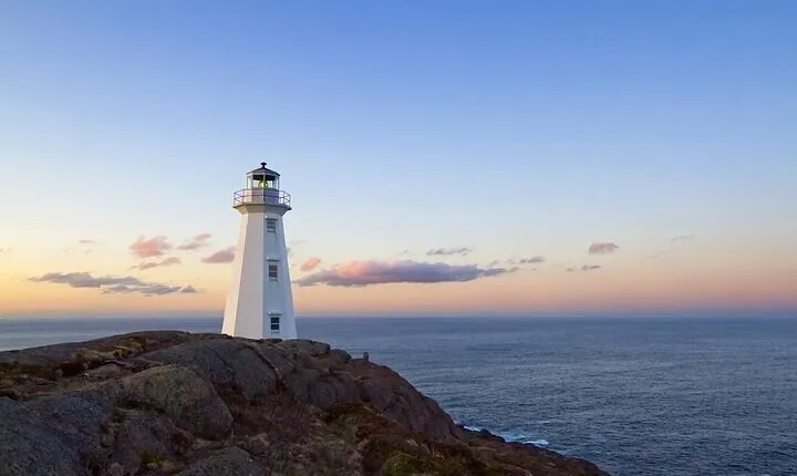 The best of St. John's walking tour
