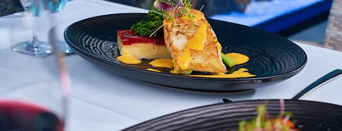 Cairns Aquarium Twilight guided tour with three course dinner