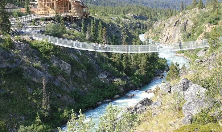 Half Day Yukon Suspension Bridge & Summit Tour