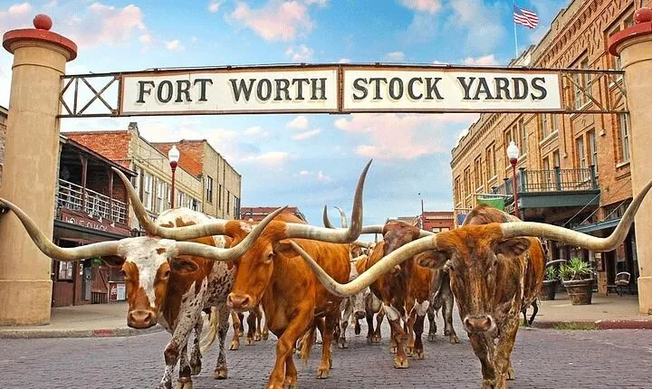 Fort Worth Highlights & Southfork Ranch Combo Tour