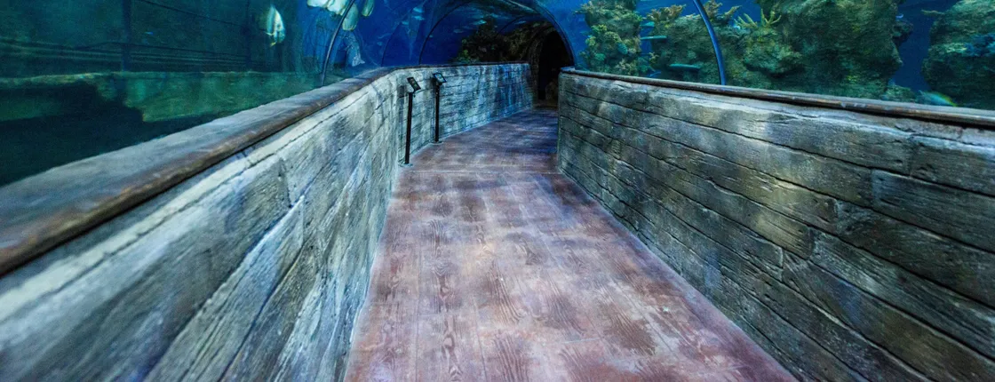Malta National Aquarium Ticket