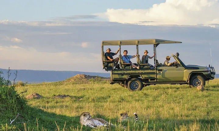 4 Days Safari Experience: Nairobi Park, City Trip And Diani Beach