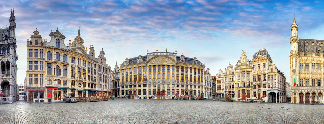 Luxury sightseeing tour of Brussels with private transportation from Amsterdam