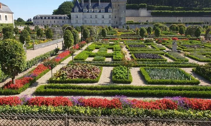 5 DAY Loire Valley Wine and Castle Tour with Guide and Sommelier