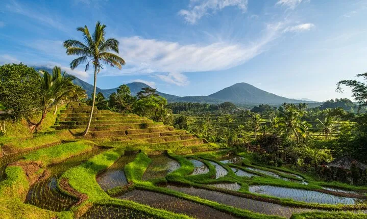 Northern Bali Tour - Private Full Day Tour - All Inclusive