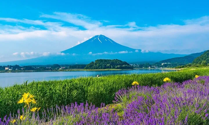 Mt Fuji Views, Fruit Picking and Ropeway Experience Day Tour