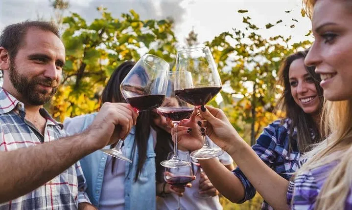 Taste first organic wine in Meysari village in Shamakhy