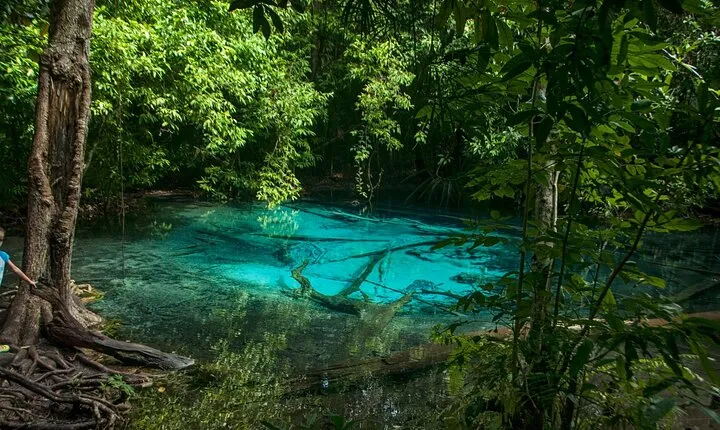  Tiger Cave and Emerald Pool Jungle Tour from Krabi